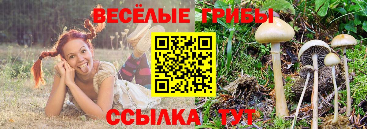 Белогорск  Псилоцибиновые грибы мицелий  Вход с VPN  Псилоцибиновые грибы MAGIC MUSHROOMS 