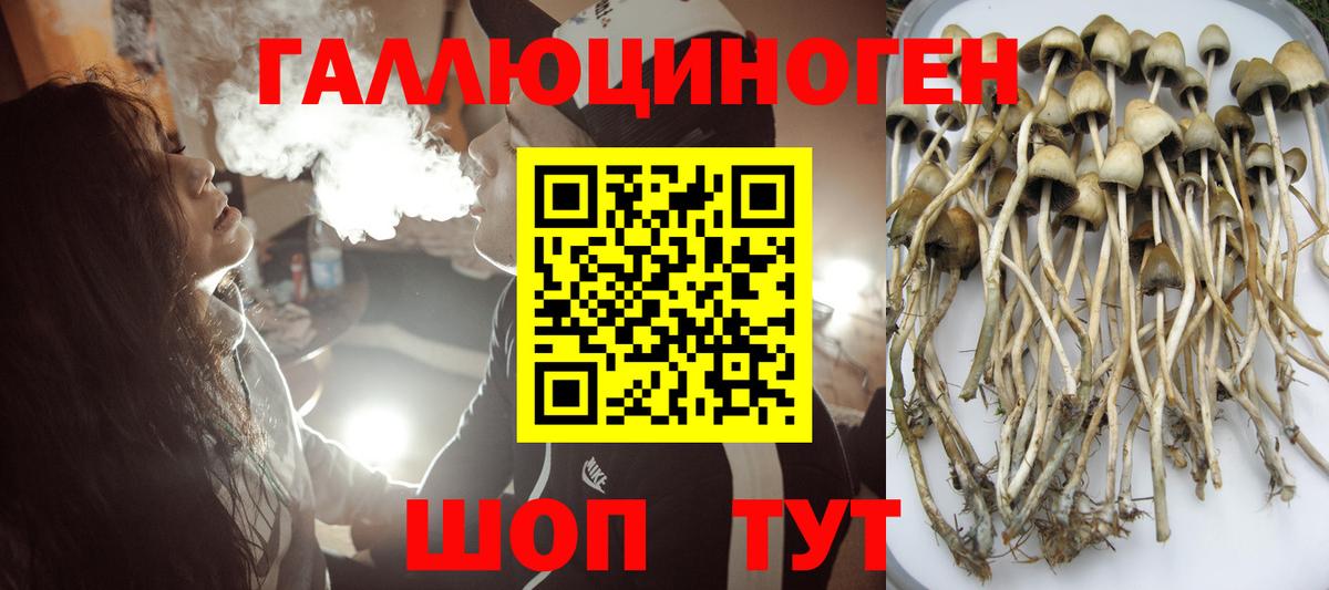 Галлюциногенные грибы прущие грибы Белогорск